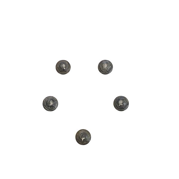Heater Box Firewall Cover Mounting Nuts Set, 5 Pieces