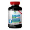 Glucosamine 1500 - Glucosamine Chondroitin MSM 3230mg - Bone Support 1B