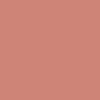 Pantone TPG 8.5X11 Sheet 16-1431 Canyon Clay