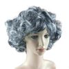 Youtei Beethoven Wig (Grey, One Size)