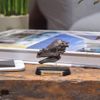 73508 Dinosaur pakikefarosaurusu Skull Mini Model (FDW – 508)