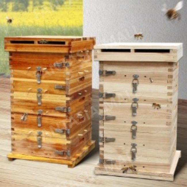 Lattice beekeeping box honeycomb bee soil box thick fir box collection box, [dry] 3-layer lattice box [with observation window layer]