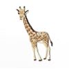 Natural Giraffe Facing Left Embroidered Iron on Patch