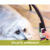 Holistic Natural Derived Calming Pet Spray for Anxiety