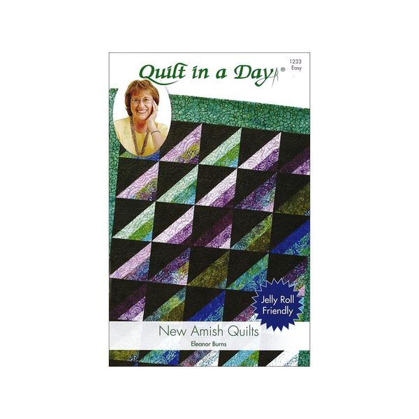 Quilt in a Day New Amish Quilts Pattern