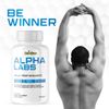 Alpha Labs-Men's Health & Performance- 10 Bottles- 600 Tablets