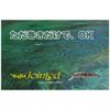 Tacklehouse Buffet Jointed BUJ51S NO.4 Chart Yamame