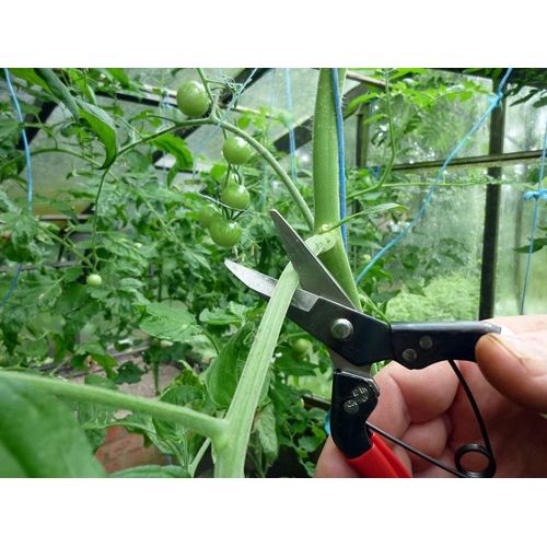 Pruner URUTRAROSSO 8 PS-8Y