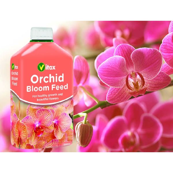 Vitax Orchid Bloom Feed & Orchid Growth Feed Set Of 2 Liquid Plant Food For Bigger & Better Flowers500ml