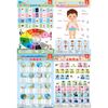 瑞莉兔双面发声大挂图 学习认知系列（套装4册）
