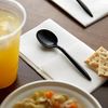Individually Wrapped Heavy Weight Soup Spoon (Black Spoon, 1000)