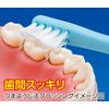Toothpick Toothbrush V-7 Compact Head Vivid Color 5pcs