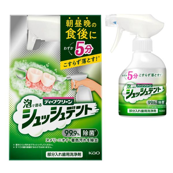 Deep Clean Shush Dent Spot Denture Cleaning Agent, Body 9.1 fl oz (270 ml), Only 5 Minutes, Foam Adhesion Cleaning