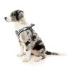 FuzzYard Sonic Dog Vest Step-In Harness Soft Adjustable Secure