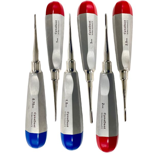 GERMAN  6 Dental Luxating Elevator Tooth Extraction Tools 0.75+1+1.5+2+2.5+ 3MM