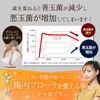 青汁 乳酸菌 葉緑王 ようりょくおう 北海道産アスパラ 島根県産大麦若葉 生きた乳酸菌 便通を改善する 機能性表示食品 食物繊維 ルチン 3g×30袋