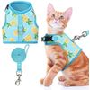 BINGPET Cat Harness - Mesh Dog Walking Harness with Adjustable Leash - Pineapple