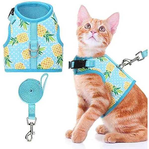 BINGPET Cat Harness - Mesh Dog Walking Harness with Adjustable Leash - Pineapple