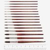 Proarte Brush - round - series 202 - size 16