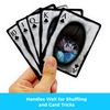 Aquarius Exorcist Playing Cards