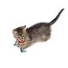 Petstages Dental Health Chews pair