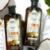 Herbal Essences Coconut Milk Conditioner, 13.5 fl oz