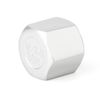 TAISHER 2PCS 304 Stainless Steel Cap Pipe Plug Socket Fitting 3/4" NPT Female