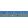 Breakaway Three 1.5oz Super Sinker Pack