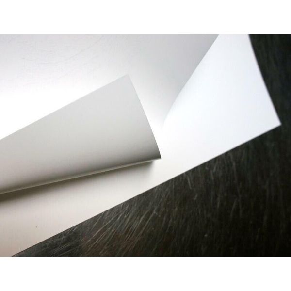 Blair Synthetic Paper 1 Sheet 27 x 39