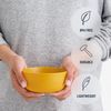 Sea to Summit Passage Bowl Large - Schale orange