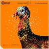 Caldwell Orange Peel Turkey Target with Flake Off Material and Strong Adhesive for Outdoor, Range, Shooting and Hunting