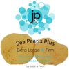 Sea Pearls Plus (Extra Large + Firm) Reusable Sea Sponges