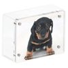 White Wood Back Magnet Frame by Canetti-6.4cm x 8.9cm
