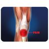 Pro-Tec Athletics The Lift Knee Support, Medium, Black