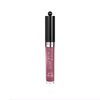Bourjois Gloss Fabuleux Lip Gloss - 08 Berry Talented