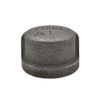 Thrifco 9118080 1/8 inch Black Cap