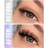 Individual Lashes Cluster Eyelash Extensions 40D 0.07 Curl 12mm
