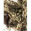 Damiana + Mullein + Marshmallow + Raspberry Leaf Organic Herb Tea Mix 1/2 pound