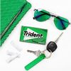 Trident Sugarless Chewing Gum Bulk Pack 18 Mint Flavors 252 Pieces