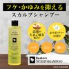 Scalp Shampoo, 10.1 fl oz (300 ml), Egg Derived Ingredients, White Tea Scent (Prevents Dandruff and itching, Smooth and Cozy, Scalp Care, Additive-Free, Non-Silicone), Men's, Made in Japan