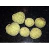 5 Organic Cherimoya/Custard Sugar Apple Tropical Fruit Seeds.US grown seeds.