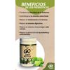 Go Fiber Organic Lemon 300 gr