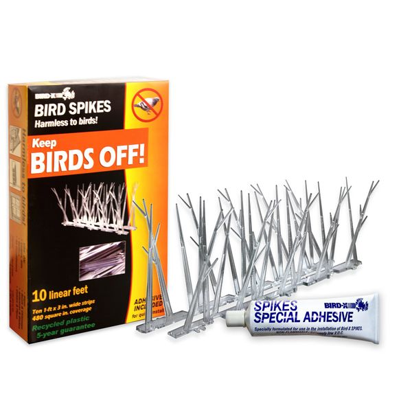 Bird-X, SP-10-NR Plastic Polycarbonate Bird Spikes Kit with Adhesive Glue, Covers 10 feet