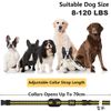 3300FT Dog Training Collar Rechargeable Remote Shock Pet Waterproof Trainer