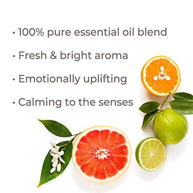 Plant Therapy Organic Sweet Orange Essential Oil 100% Pure, USDA Certified  Organic, Undiluted 30 mL (1 oz)