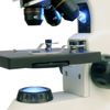 AmScope 40X-1000X Student Metal Microscope + 1.0MP Camera, 2 Lights, Glass Lens