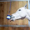 Likit Holder - Equine Boredom Relief: Aqua