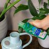 Westland Houseplant Feed Concentrate - 200ml (20100350)