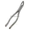 German Stainless Steel EXTRACTING Forceps #151 Dental Surgical Instruments