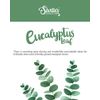 Eucalyptus Leaf Premium Tealight Candles - Highly Scented with Essential &